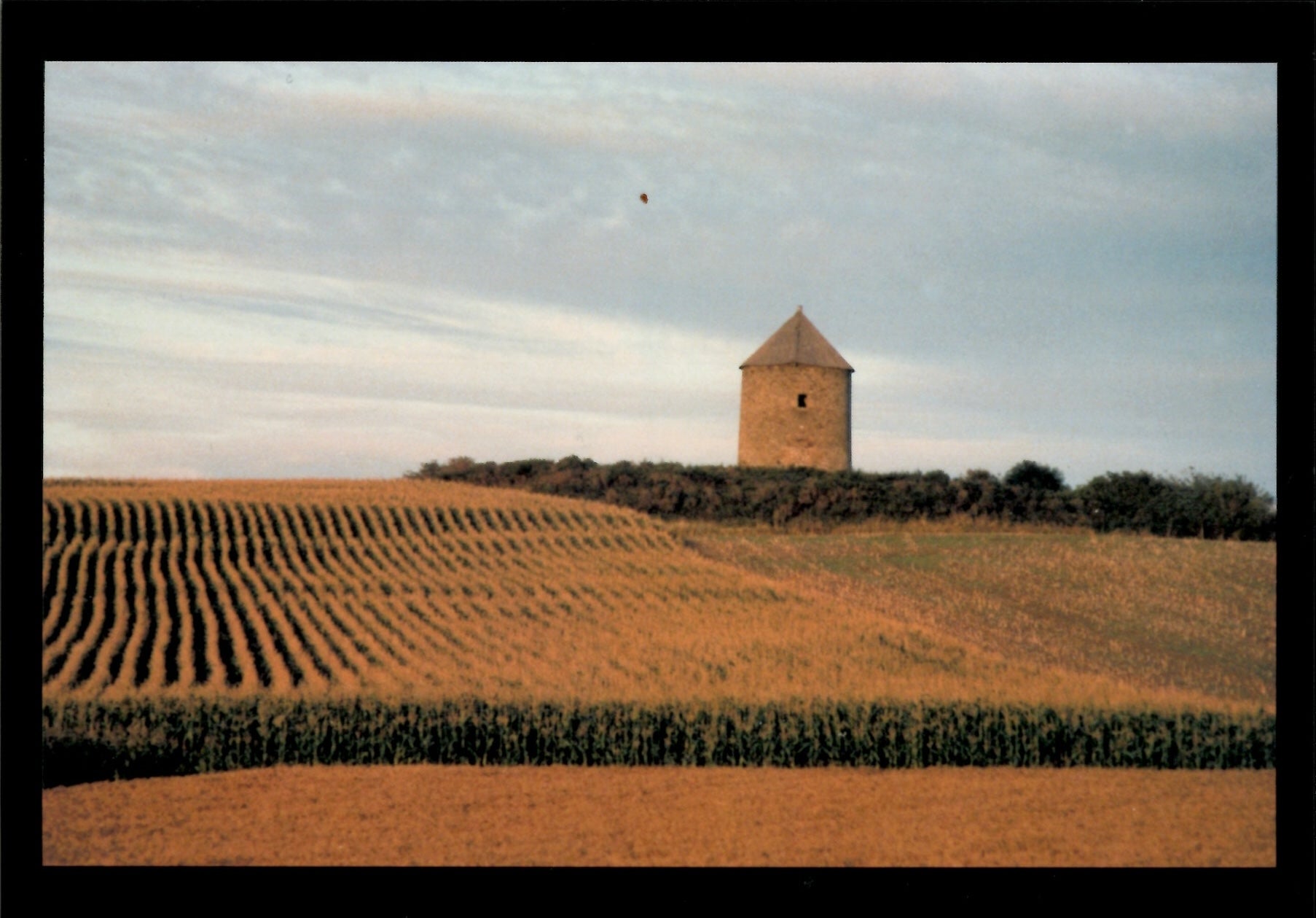 Postcard - Old Norman Tower in Fields of Gold